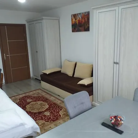 Fully Furnished Studio Sighetu Marmatiei Exterior photo