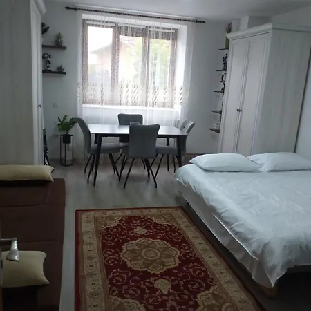 Fully Furnished Studio Sighetu Marmatiei Exterior photo