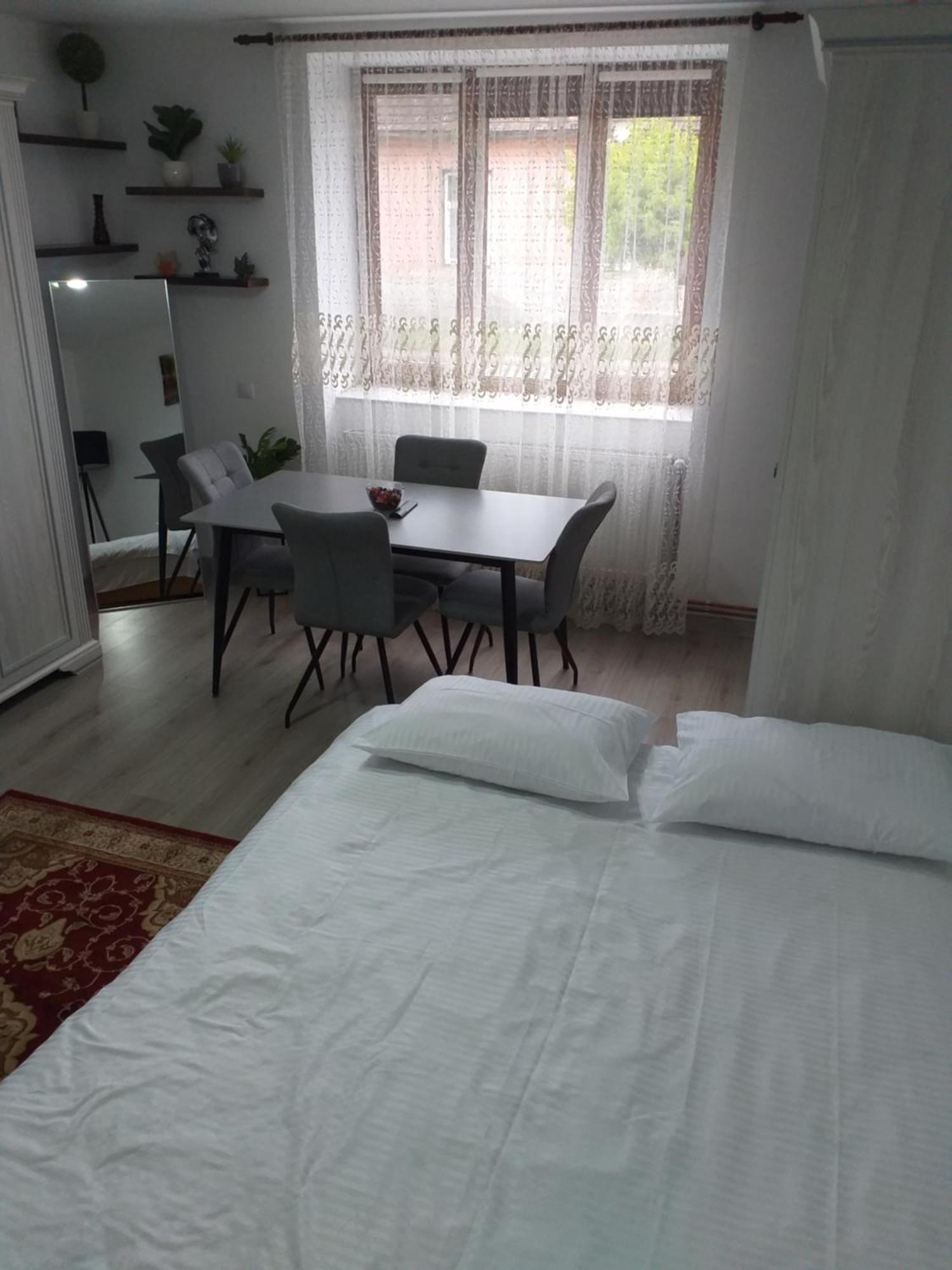 Séjour chez l'habitant Fully Furnished Sighetu Marmaţiei